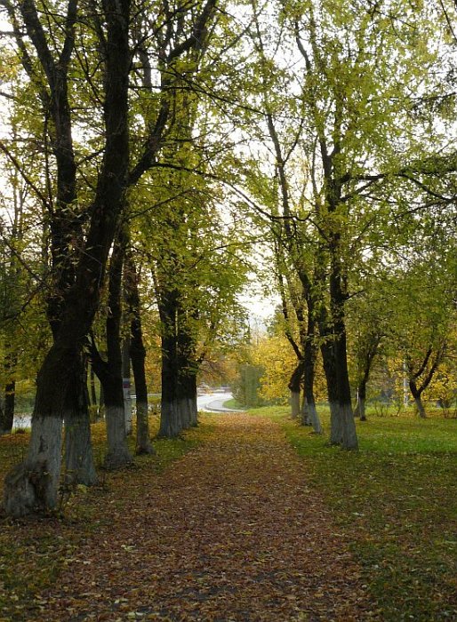 Убитая аллея